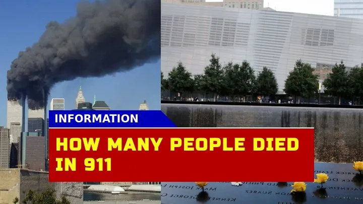 How Many People Died In 9/11 An Updated Insight Into The 2001 Attacks?