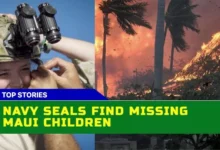 Did Navy Seals Really Rescue Missing Maui Children? Unraveling The Truth