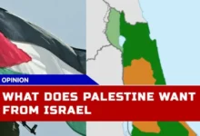 What Does Palestine Want From Israel? Understanding The Israel-Palestine Conflict